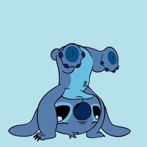 Meet your Posher, Kyra